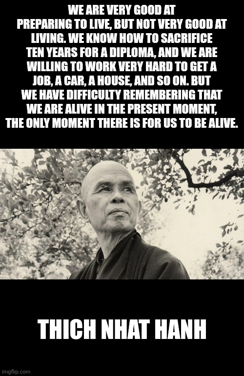Appreciation for being alive | WE ARE VERY GOOD AT PREPARING TO LIVE, BUT NOT VERY GOOD AT LIVING. WE KNOW HOW TO SACRIFICE TEN YEARS FOR A DIPLOMA, AND WE ARE WILLING TO WORK VERY HARD TO GET A JOB, A CAR, A HOUSE, AND SO ON. BUT WE HAVE DIFFICULTY REMEMBERING THAT WE ARE ALIVE IN THE PRESENT MOMENT, THE ONLY MOMENT THERE IS FOR US TO BE ALIVE. THICH NHAT HANH | image tagged in life,appreciation,human nature,philosophy,believe | made w/ Imgflip meme maker