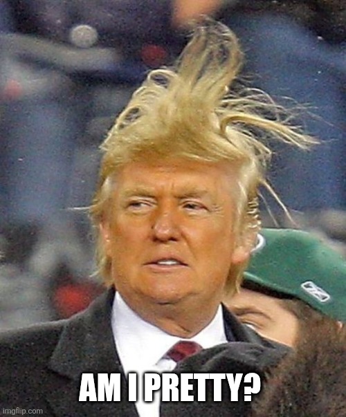 Am I Pretty 2 | AM I PRETTY? | image tagged in donald trumph hair | made w/ Imgflip meme maker