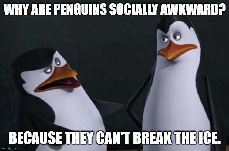 Daily Bad Dad Joke February 13, 2026 | WHY ARE PENGUINS SOCIALLY AWKWARD? BECAUSE THEY CAN'T BREAK THE ICE. | image tagged in skipper and kowalski | made w/ Imgflip meme maker