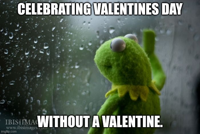 Oh well | CELEBRATING VALENTINES DAY; WITHOUT A VALENTINE. | image tagged in kermit window,sad,oh well | made w/ Imgflip meme maker