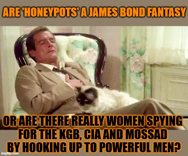 This #lolcat wonders if 'honeypots' really exist | ARE 'HONEYPOTS' A JAMES BOND FANTASY; OR ARE THERE REALLY WOMEN SPYING 
FOR THE KGB, CIA AND MOSSAD 
BY HOOKING UP TO POWERFUL MEN? | image tagged in james bond,honeypots,kgb,cia,mossad,lolcat | made w/ Imgflip meme maker