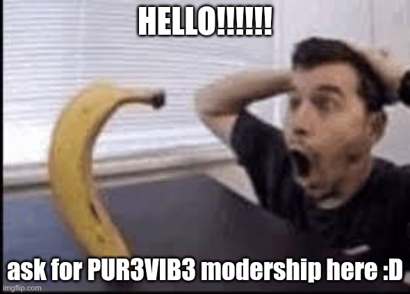 ask for PUR3V1B3S modership here :D | HELLO!!!!!! ask for PUR3VIB3 modership here :D | made w/ Imgflip meme maker