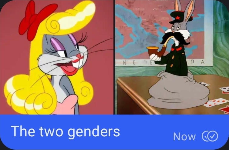 Gender Blank Meme Template