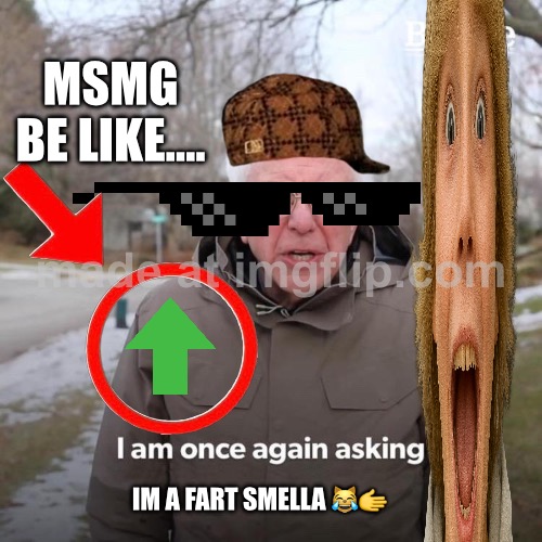 Updoot if you agree | MSMG BE LIKE…. IM A FART SMELLA 😹🫱 | image tagged in memes,bernie i am once again asking for your support | made w/ Imgflip meme maker