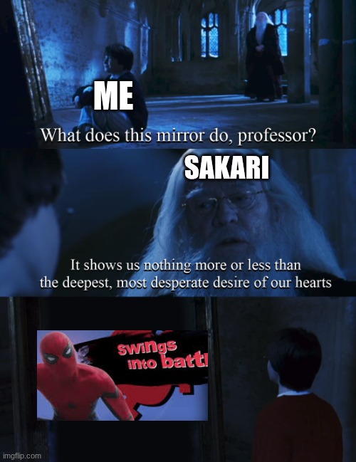 Harry potter mirror | ME; SAKARI | image tagged in harry potter mirror | made w/ Imgflip meme maker