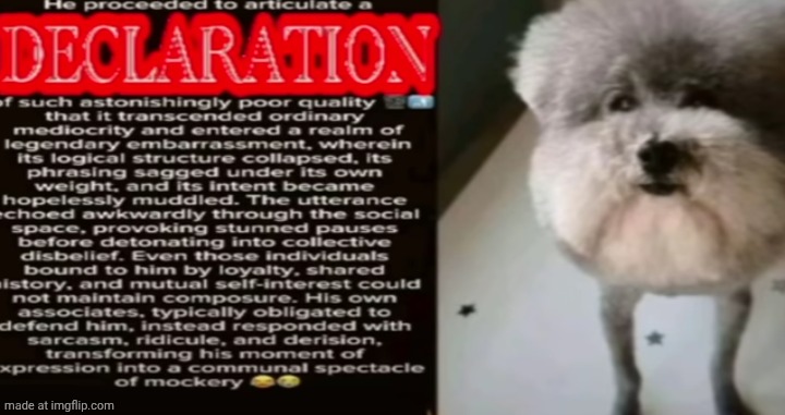 Name a post in this stream deserving of this image. | image tagged in declaration of insanity | made w/ Imgflip meme maker