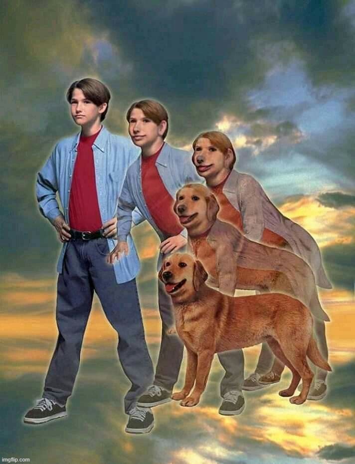 Animorphs dog by Razor | image tagged in animal,dog | made w/ Imgflip meme maker