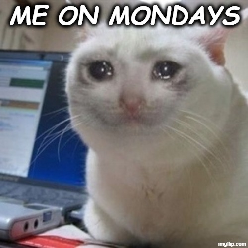 sundays | ME ON MONDAYS | image tagged in crying cat | made w/ Imgflip meme maker