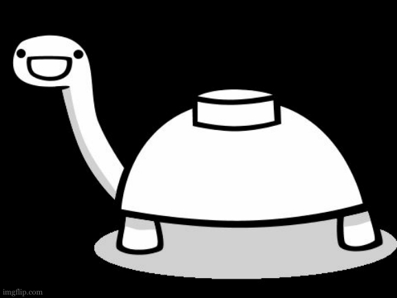 Mine turtle hello | image tagged in mine turtle hello | made w/ Imgflip meme maker
