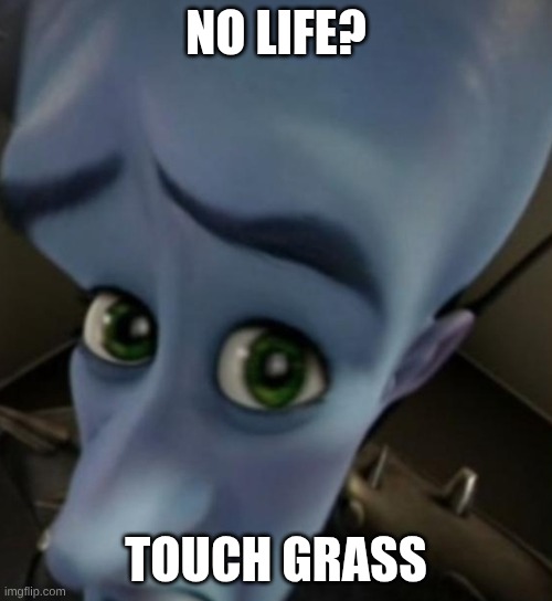 Megamind no bitches | NO LIFE? TOUCH GRASS | image tagged in megamind no bitches | made w/ Imgflip meme maker