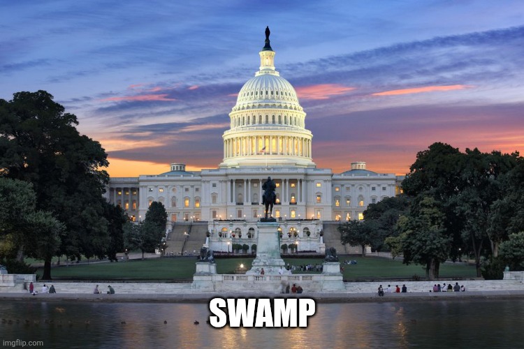 Washington DC swamp | SWAMP | image tagged in washington dc swamp | made w/ Imgflip meme maker