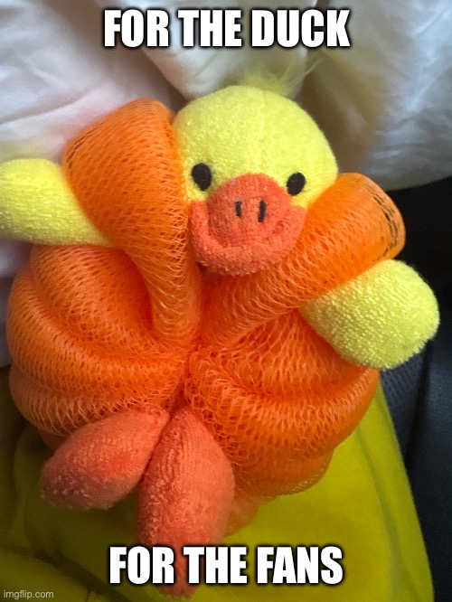 Soapduck | FOR THE DUCK; FOR THE FANS | image tagged in ducks | made w/ Imgflip meme maker