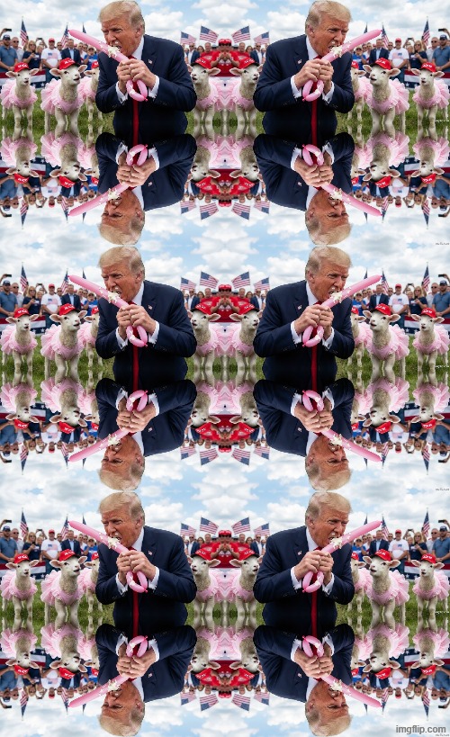 BALLOON FUN | image tagged in trump,balloon,mayonnaise,maga,jeffrey epstein,make america great again | made w/ Imgflip meme maker