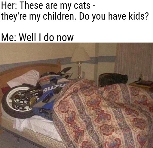 Her: These are my cats - they're my children. Do you have kids? Me: Well I do now | image tagged in funny,memes | made w/ Imgflip meme maker