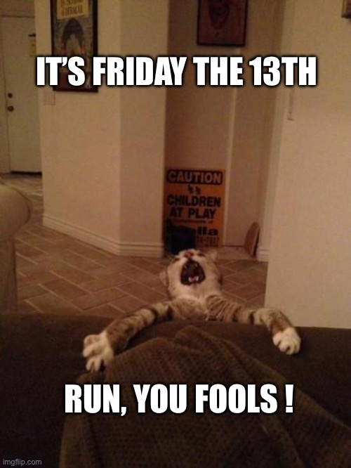 Friday the 13th | IT’S FRIDAY THE 13TH; RUN, YOU FOOLS ! | image tagged in falling cat | made w/ Imgflip meme maker