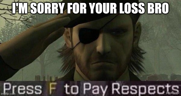 I'M SORRY FOR YOUR LOSS BRO | image tagged in press f to pay repects | made w/ Imgflip meme maker