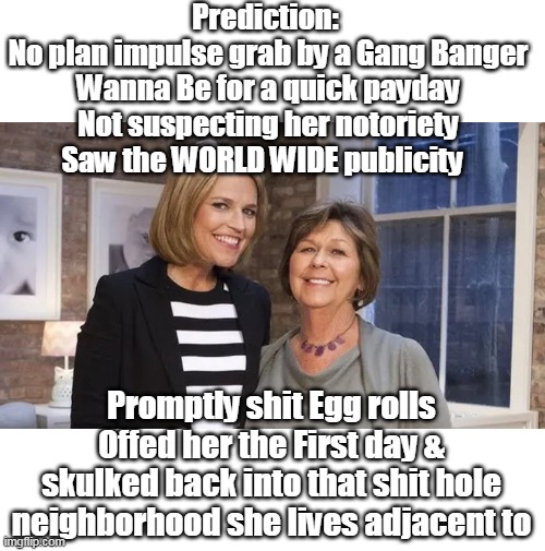 NOT that I want her dead Just bet there was no MAJOR CONSPIRACY | Prediction: 
No plan impulse grab by a Gang Banger Wanna Be for a quick payday Not suspecting her notoriety Saw the WORLD WIDE publicity; Promptly shit Egg rolls Offed her the First day & skulked back into that shit hole neighborhood she lives adjacent to | image tagged in nancy guthrie gang banger prediction meme | made w/ Imgflip meme maker