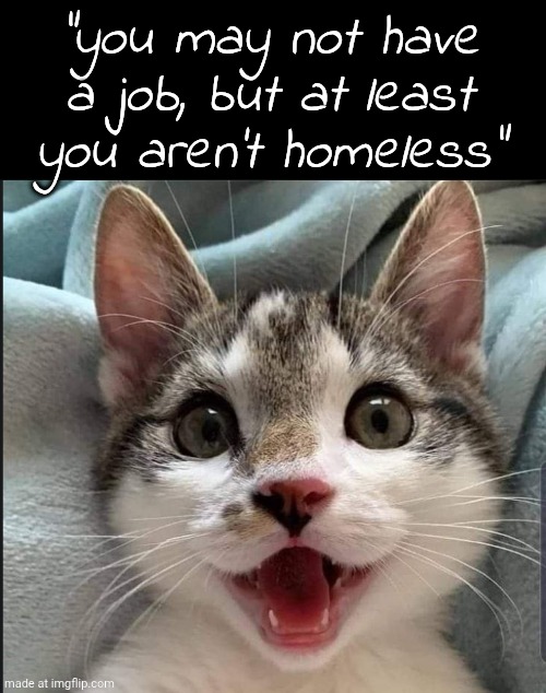El Gato | "you may not have a job, but at least you aren't homeless" | image tagged in happy cat | made w/ Imgflip meme maker