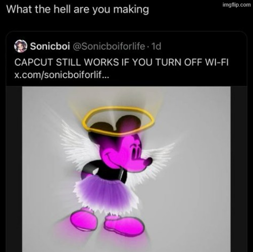 made w/ Imgflip meme maker