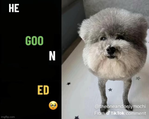 ❤️ | made w/ Imgflip meme maker