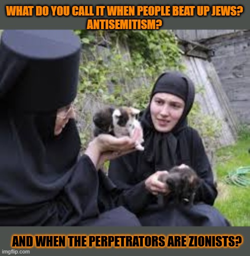 This #lolcat wonders why not every group that's anti-Jews is antisemitic | WHAT DO YOU CALL IT WHEN PEOPLE BEAT UP JEWS?
 ANTISEMITISM? AND WHEN THE PERPETRATORS ARE ZIONISTS? | image tagged in antisemitism,jews,israel jews,judaism,lolcat,zionism | made w/ Imgflip meme maker