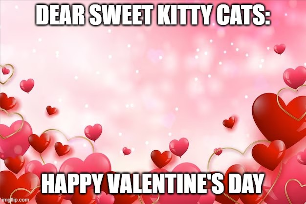 Valentine's Day Wishes | DEAR SWEET KITTY CATS:; HAPPY VALENTINE'S DAY | image tagged in lots of hearts background | made w/ Imgflip meme maker