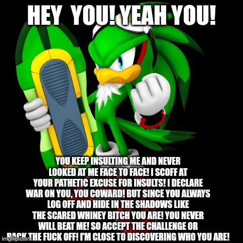 Jet The Hawk | HEY  YOU! YEAH YOU! YOU KEEP INSULTING ME AND NEVER LOOKED AT ME FACE TO FACE! I SCOFF AT YOUR PATHETIC EXCUSE FOR INSULTS! I DECLARE WAR ON | image tagged in jet the hawk | made w/ Imgflip meme maker