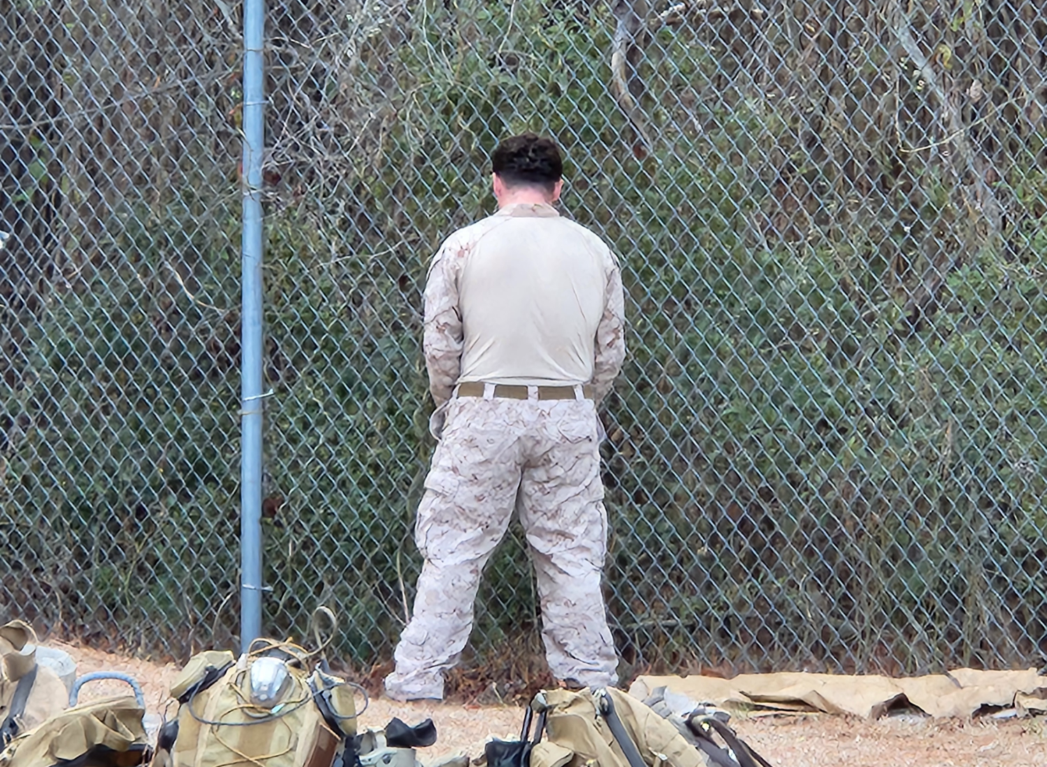 Pee Blank Meme Template