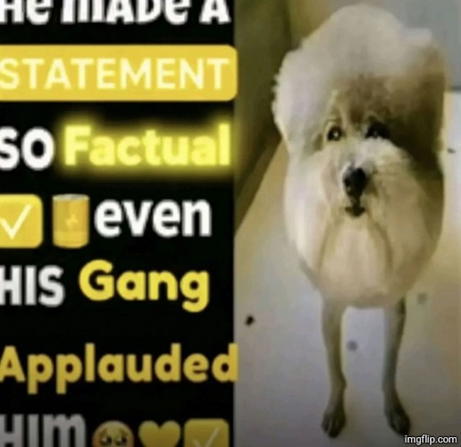 he made a statement so factual | image tagged in he made a statement so factual | made w/ Imgflip meme maker