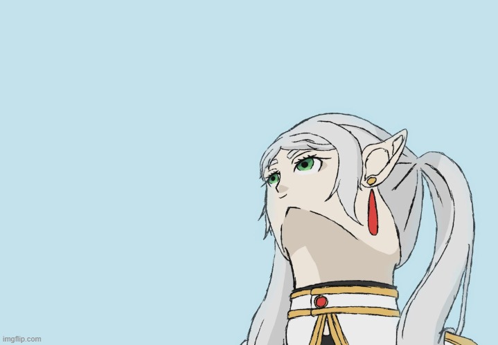 Froeren | image tagged in froeren | made w/ Imgflip meme maker