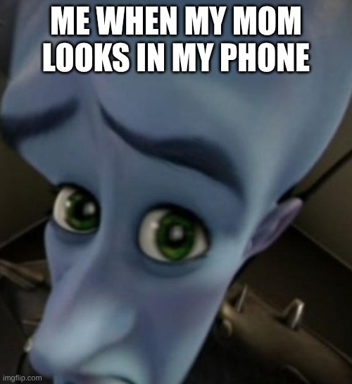 Megamind no bitches | ME WHEN MY MOM LOOKS IN MY PHONE | image tagged in megamind no bitches | made w/ Imgflip meme maker
