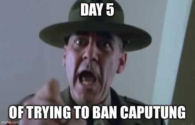 It’s day 6 my fault | DAY 5; OF TRYING TO BAN CAPUTUNG | image tagged in full metal jacket,banana | made w/ Imgflip meme maker