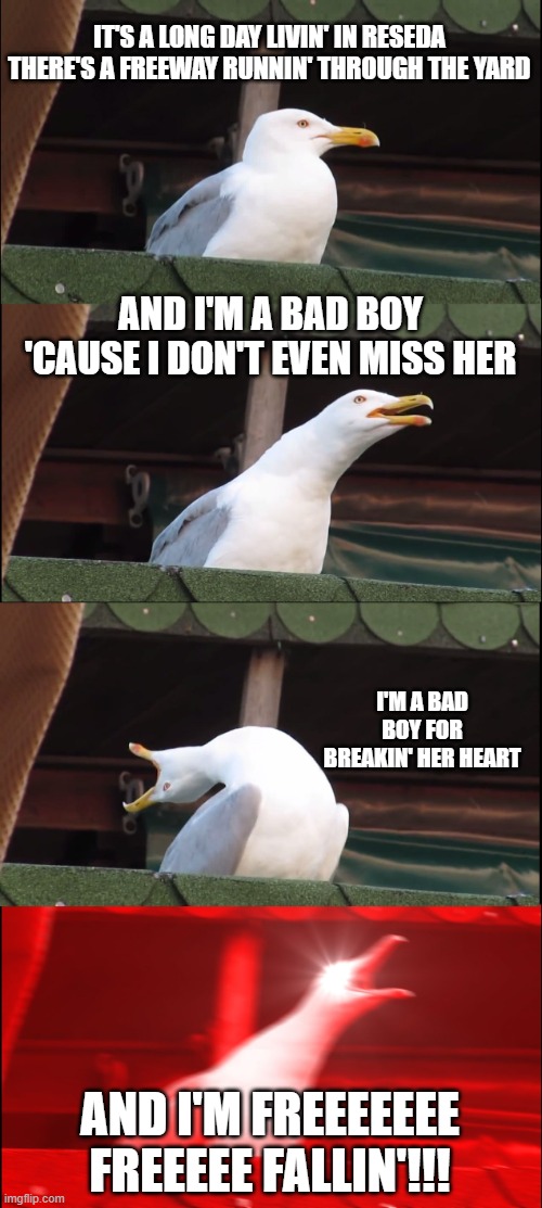 Tom Petty Sang... | IT'S A LONG DAY LIVIN' IN RESEDA
THERE'S A FREEWAY RUNNIN' THROUGH THE YARD; AND I'M A BAD BOY 'CAUSE I DON'T EVEN MISS HER; I'M A BAD BOY FOR BREAKIN' HER HEART; AND I'M FREEEEEEE FREEEEE FALLIN'!!! | image tagged in memes,inhaling seagull | made w/ Imgflip meme maker