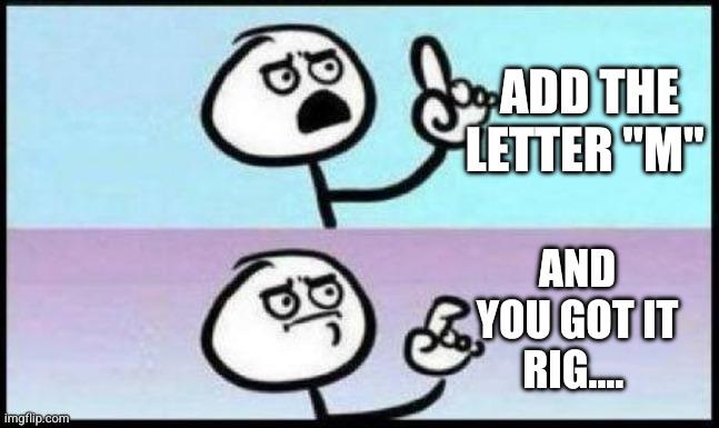 Well hes not wrong | ADD THE LETTER "M" AND YOU GOT IT RIG.... | image tagged in well hes not wrong | made w/ Imgflip meme maker