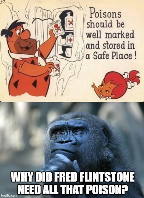 Poison? | WHY DID FRED FLINTSTONE NEED ALL THAT POISON? | image tagged in deep thoughts | made w/ Imgflip meme maker