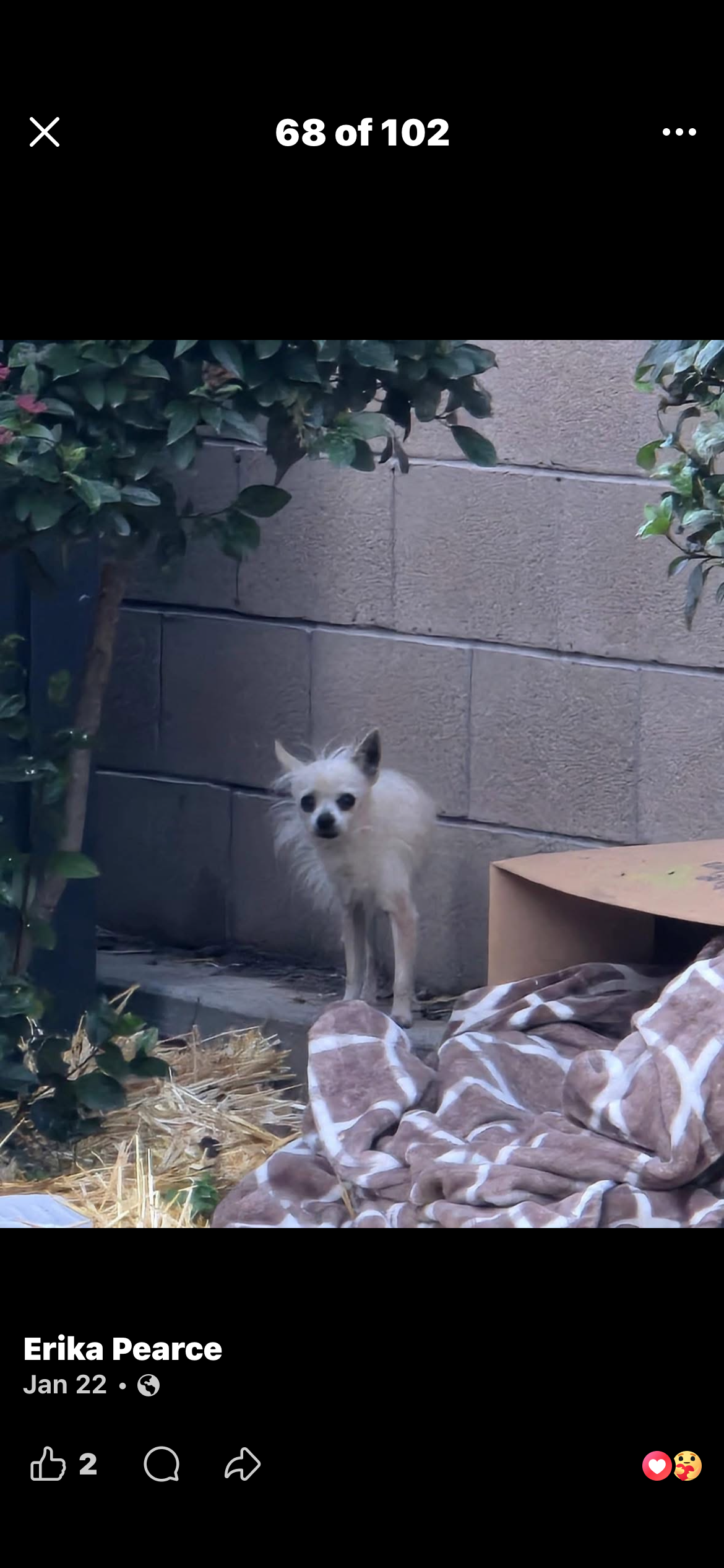 Test Blank Meme Template