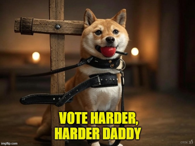 It does not matter who you vote for | VOTE HARDER, | image tagged in voting,vote harder,voter fraud,uniparty,democrats,republicans | made w/ Imgflip meme maker