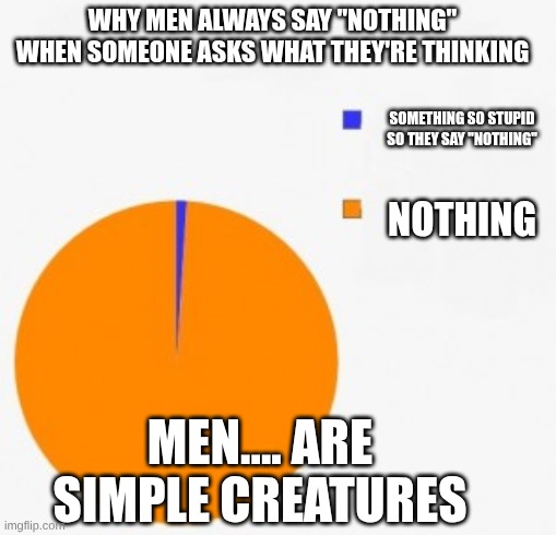 pie chart/ percentage | WHY MEN ALWAYS SAY "NOTHING" WHEN SOMEONE ASKS WHAT THEY'RE THINKING; SOMETHING SO STUPID SO THEY SAY "NOTHING"; NOTHING; MEN.... ARE SIMPLE CREATURES | image tagged in pie chart/ percentage | made w/ Imgflip meme maker