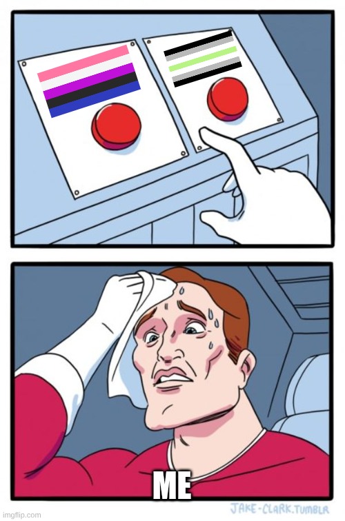Two Buttons | ME | image tagged in memes,two buttons,gender identity | made w/ Imgflip meme maker