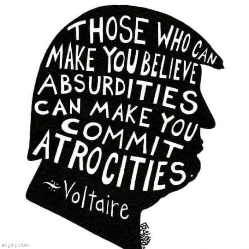 Voltaire quote donald trump | image tagged in voltaire quote donald trump | made w/ Imgflip meme maker