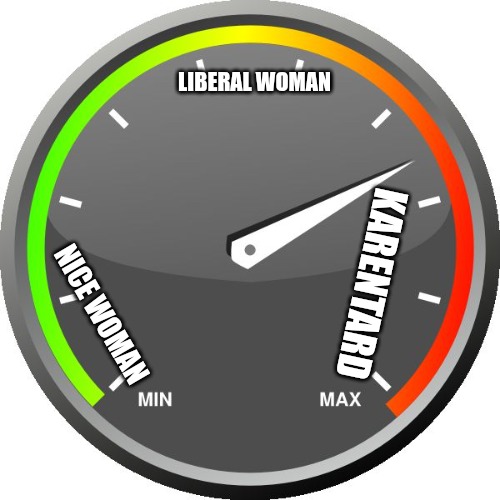Meter | LIBERAL WOMAN; KARENTARD; NICE WOMAN | image tagged in meter | made w/ Imgflip meme maker
