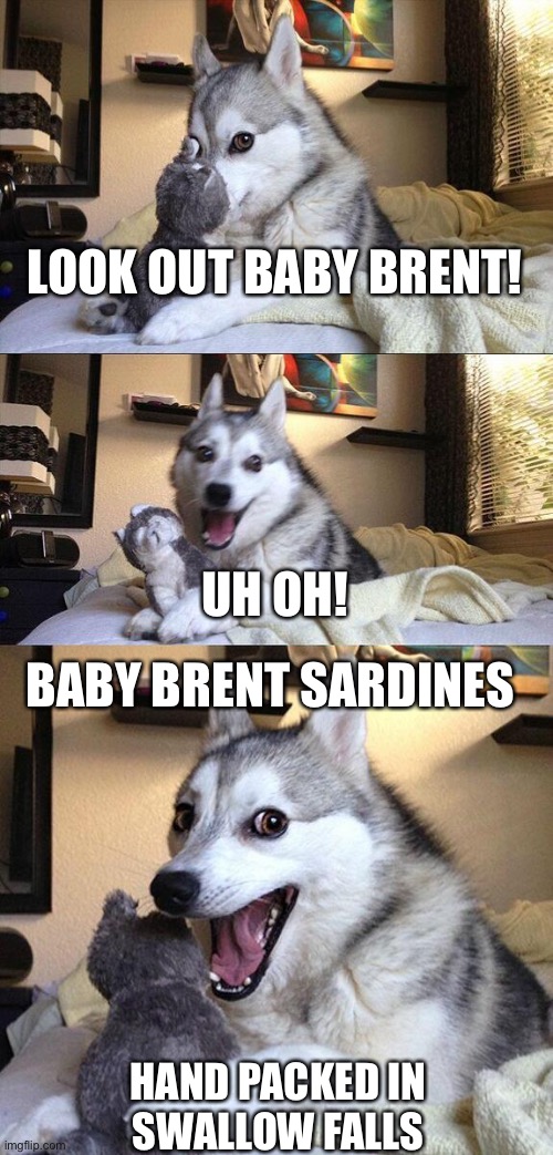 Bad Pun Dog Meme | LOOK OUT BABY BRENT! UH OH! BABY BRENT SARDINES; HAND PACKED IN
SWALLOW FALLS | image tagged in memes,bad pun dog | made w/ Imgflip meme maker