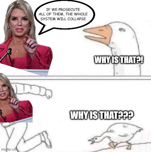Goose Chase | IF WE PROSECUTE ALL OF THEM, THE WHOLE SYSTEM WILL COLLAPSE; WHY IS THAT?! WHY IS THAT??? | image tagged in goose chase | made w/ Imgflip meme maker