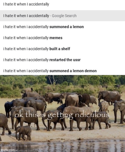 Address me. | image tagged in ok this is getting ridiculous | made w/ Imgflip meme maker