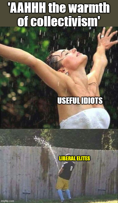 Think this is warm...wait til they get to number 2 | 'AAHHH the warmth of collectivism'; USEFUL IDIOTS; LIBERAL ELITES | image tagged in man peeingover fwence | made w/ Imgflip meme maker