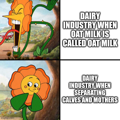 English Has Used The Word Milk for Plant Milks Since The Year 1200 | DAIRY INDUSTRY WHEN OAT MILK IS CALLED OAT MILK; DAIRY INDUSTRY WHEN SEPARATING CALVES AND MOTHERS | image tagged in angry flower,dairy,capitalism,consumerism,animal rights,cruel | made w/ Imgflip meme maker