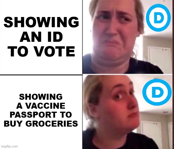 Kombucha Girl | SHOWING AN ID TO VOTE; SHOWING A VACCINE PASSPORT TO BUY GROCERIES | image tagged in kombucha girl,passport,vote,democrats,vaccine,groceries | made w/ Imgflip meme maker