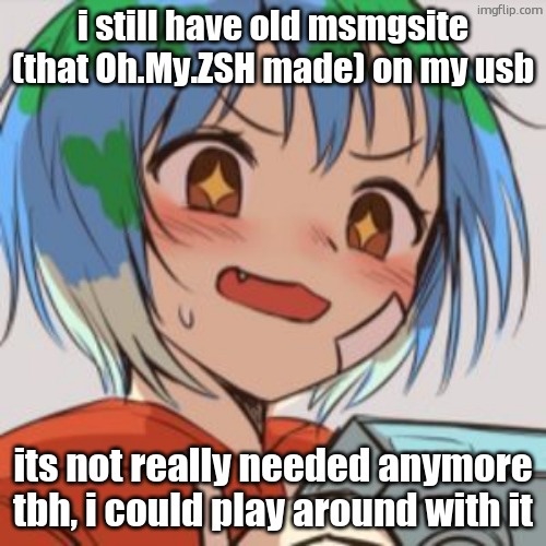 i think it has a working meme generator on it. ill suffer with it (it uses django) tomorrow | i still have old msmgsite (that Oh.My.ZSH made) on my usb; its not really needed anymore tbh, i could play around with it | image tagged in earth chan | made w/ Imgflip meme maker