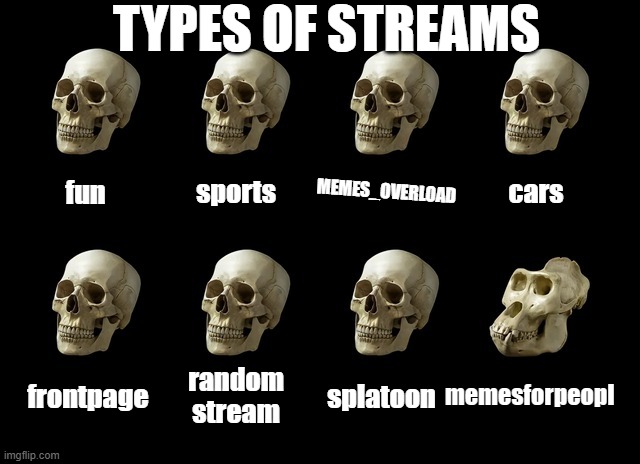 empty skulls (fixed textboxes) | TYPES OF STREAMS; MEMES_OVERLOAD; cars; sports; fun; splatoon; frontpage; random stream; memesforpeopl | image tagged in empty skulls fixed textboxes | made w/ Imgflip meme maker