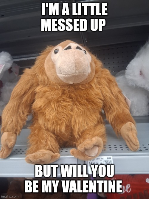 Munkie | I'M A LITTLE MESSED UP; BUT WILL YOU BE MY VALENTINE | image tagged in munkie | made w/ Imgflip meme maker